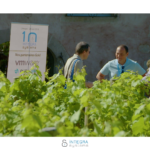 Report Video Drone – IntegraSystem