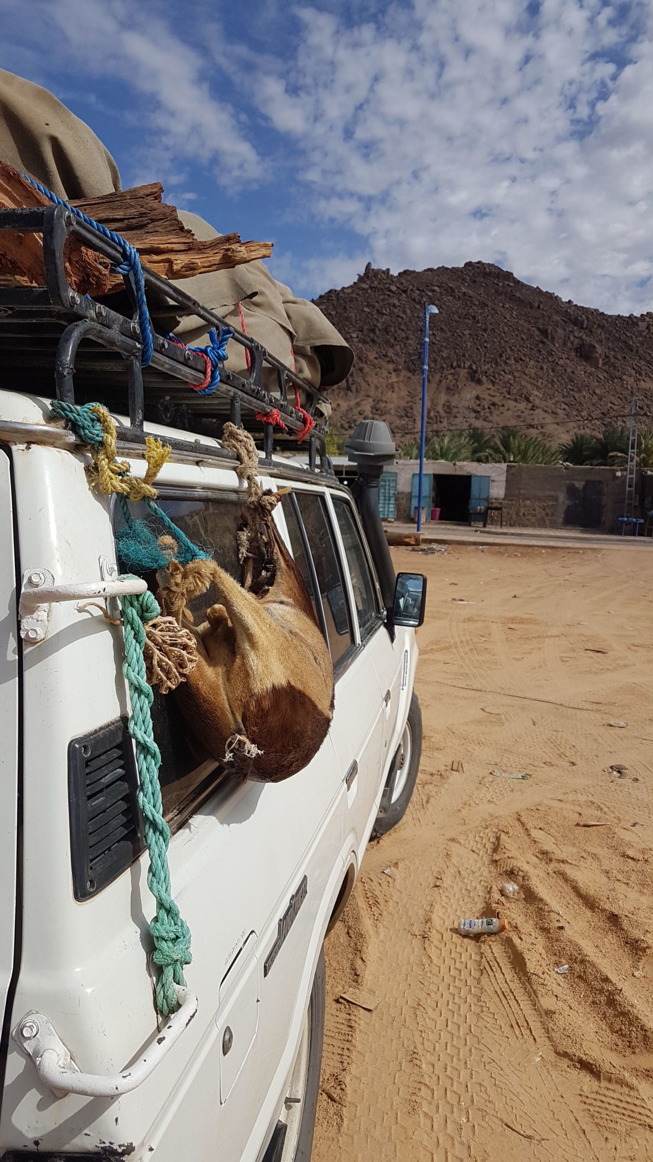 Bivouac in Red Desert – Djanet (Algeria)