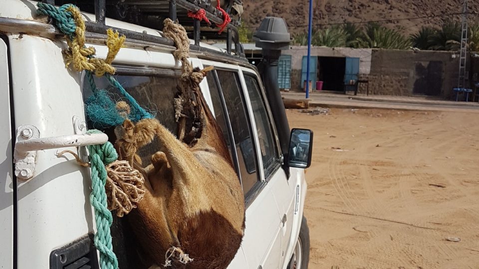 Bivouac in Red Desert – Djanet (Algeria)